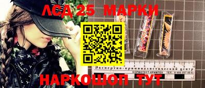 спиды Камышлов