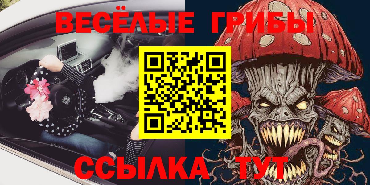 Псилоцибиновые грибы Psilocybine cubensis  Вход с VPN  Псилоцибиновые грибы прущие грибы  Армавир 