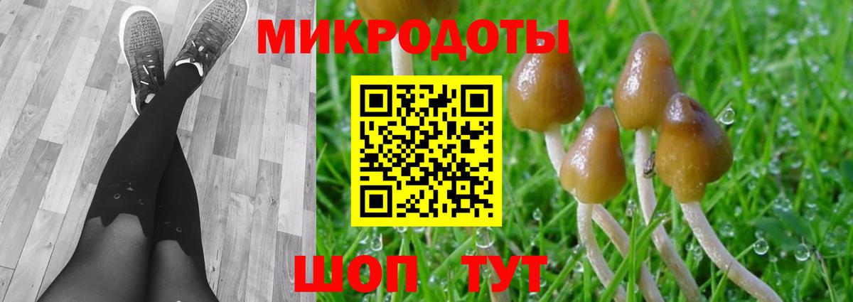 Псилоцибиновые грибы GOLDEN TEACHER Армавир