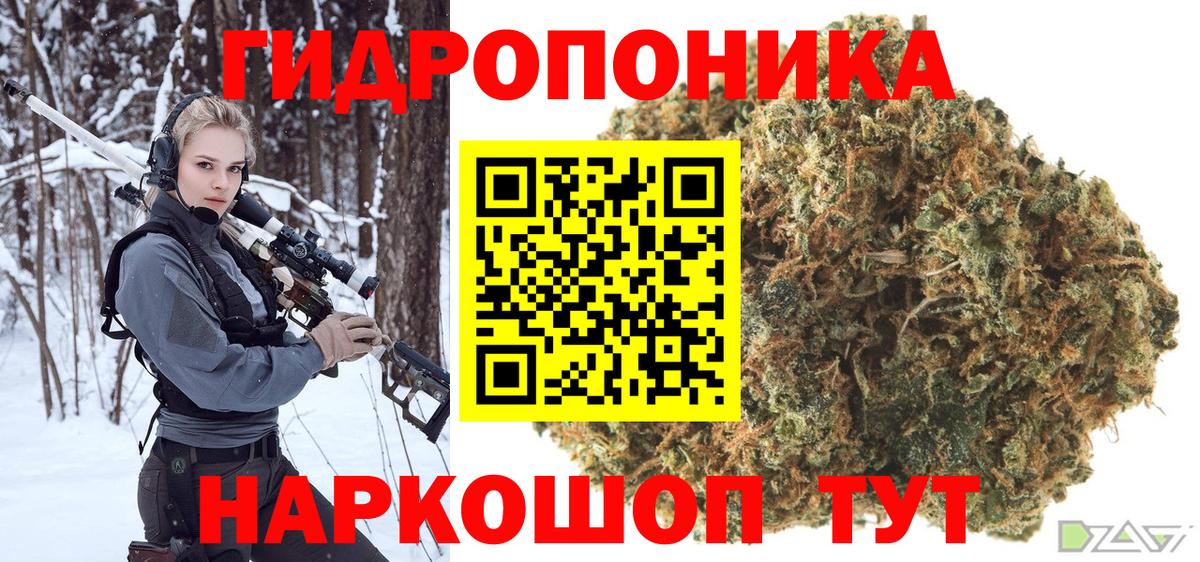 Марихуана OG Kush Армавир
